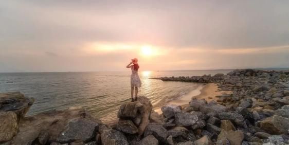 鐵甲龍能量補充方式有哪些？：鐵甲龍的能量補充方式