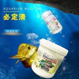 龍魚怎么去除寄生蟲最有效視頻：如何有效去除龍魚身上的寄生蟲