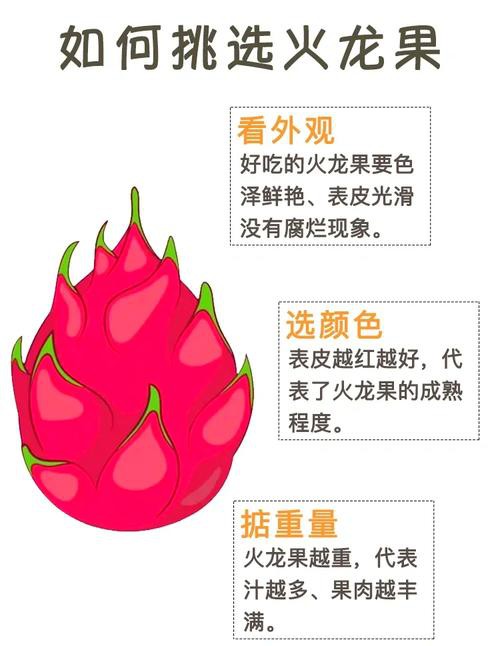 紅龍純血和普通火龍果有何區別？