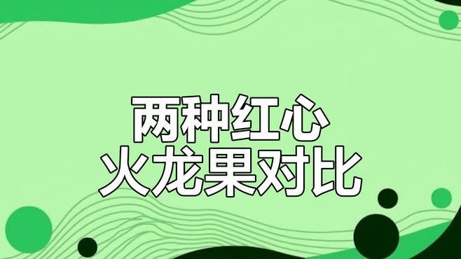 紅龍純血和普通火龍果有何區別？