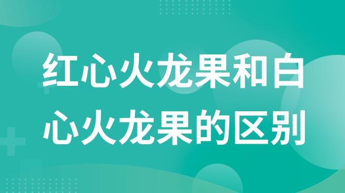紅龍純血和普通火龍果有何區別？