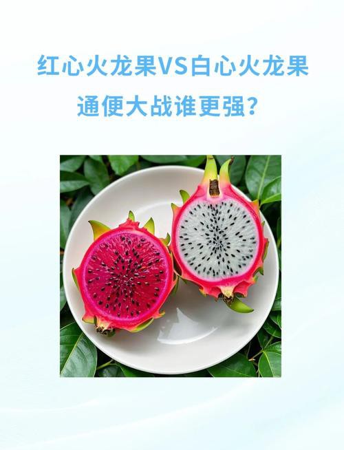 紅龍純血和普通火龍果有何區別？