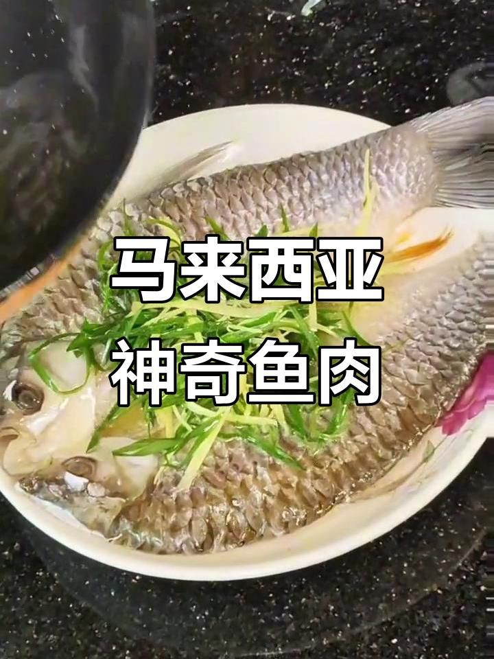 馬來西亞忘不了魚是什么魚