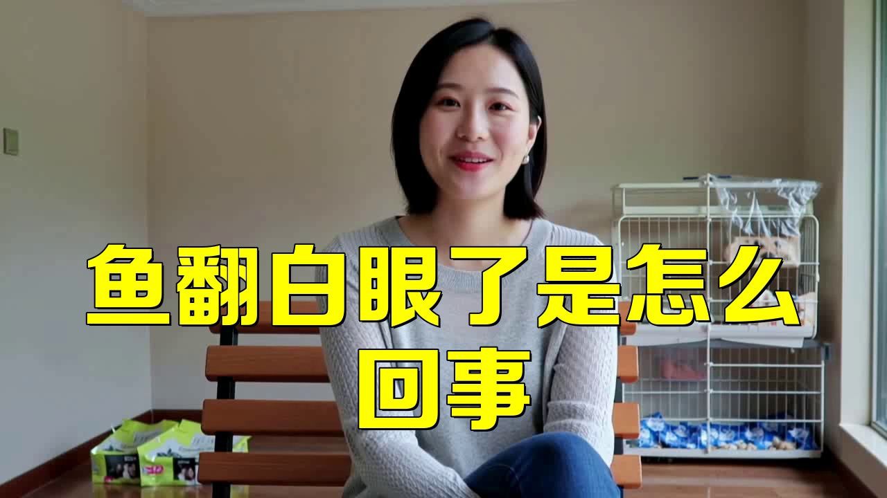 龍魚白眼病會復(fù)發(fā)嗎？