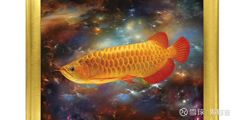 金龍魚品牌在全球的市場份額是多少？