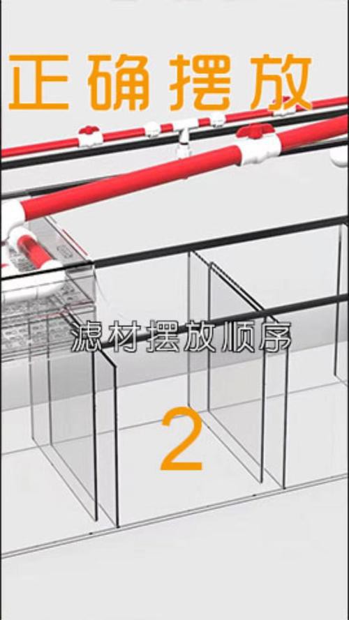 紅金龍魚值多少錢人民幣一條（紅金龍魚市場價格走勢）