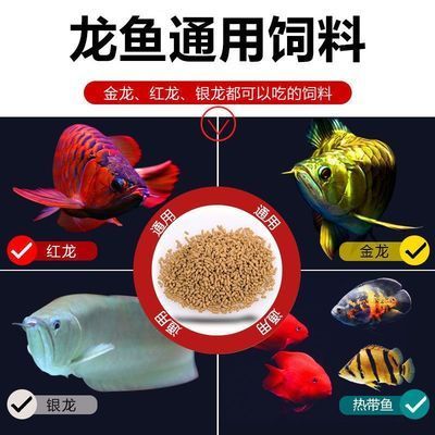 龍魚魚食哪個(gè)牌子好一點(diǎn)耐用的，龍魚飼料十大品牌排行榜