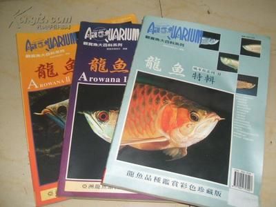 龍魚 額頭磕破：紅龍、黃金額龍、班加紅龍、班加紅龍、班加紅龍、班加紅龍的區別
