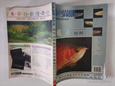 龍魚 額頭磕破：紅龍、黃金額龍、班加紅龍、班加紅龍、班加紅龍、班加紅龍的區別