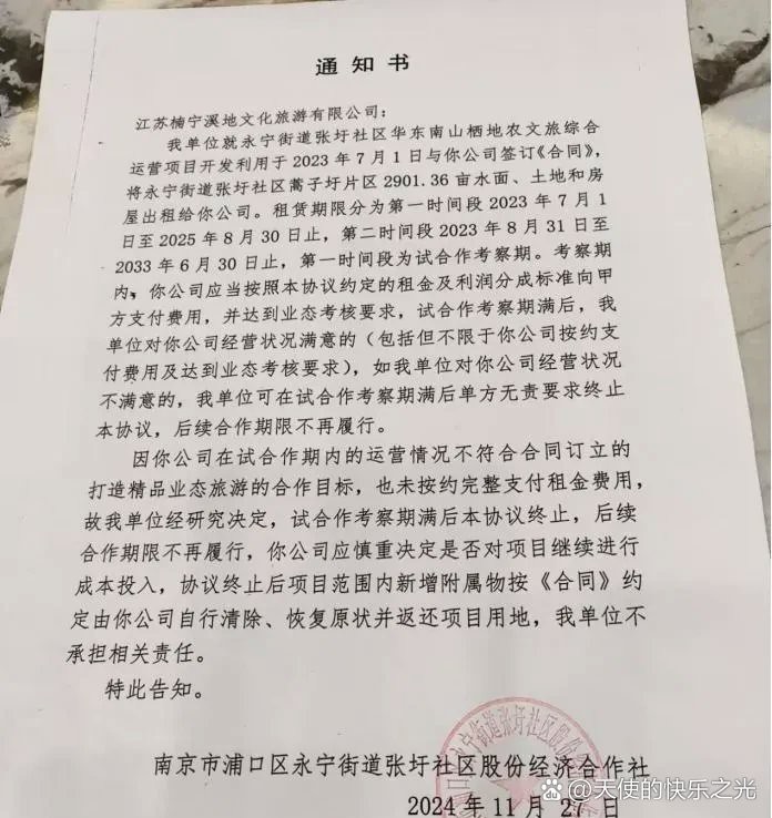 南京龍魚寄養公司