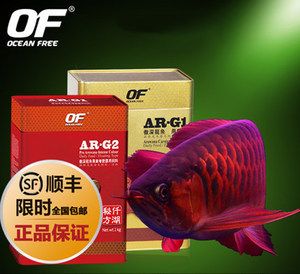 銀龍魚和鸚鵡魚飼料一樣嗎（銀龍魚吃鸚鵡魚的飼料嗎）