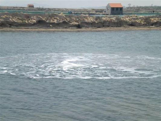 給紅龍魚起名字怎么起