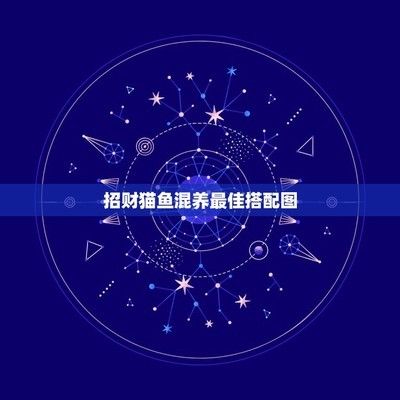 招财猫鱼混养环境布置技巧：如何在招财猫鱼混养系统中布置适宜的生活环境