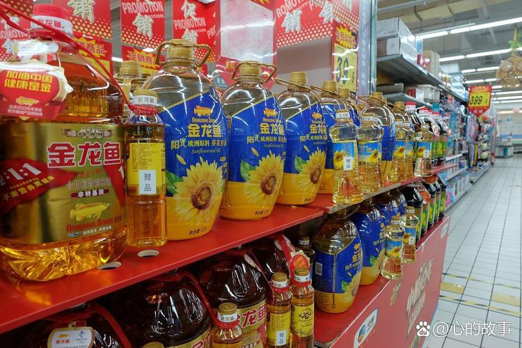 鄭州哪里賣金龍魚好點