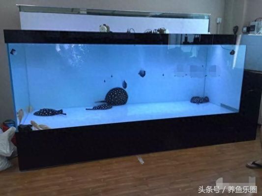 森森hst魚缸上下水安裝，如何檢測魚缸水質