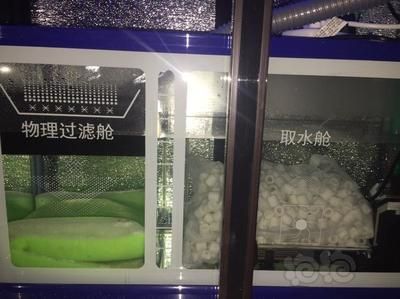 龍魚開缸養水，龍魚開缸養水方法