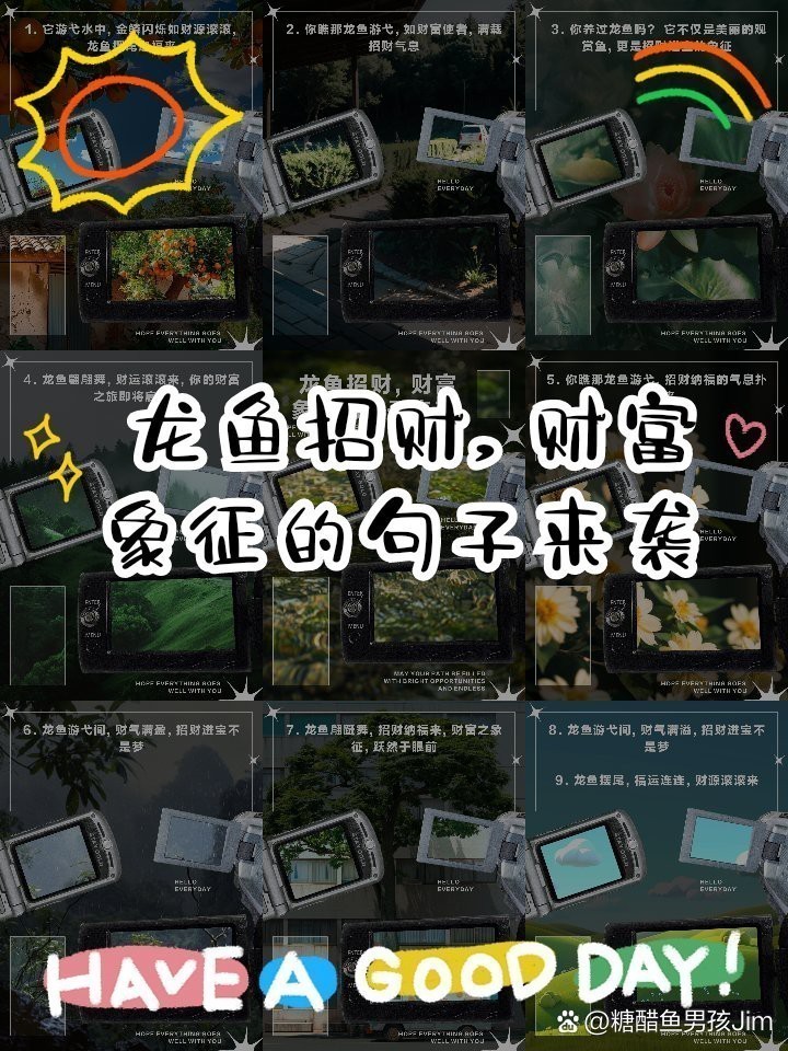 金龍魚(yú)吉祥語(yǔ)大全