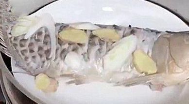 龍魚怎么這么貴啊：為什么龍魚的價格那么高？