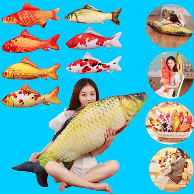 馬拉莫寶石魚苗，馬拉莫寶石魚苗價格，寶石鱸魚苗養殖技術要點