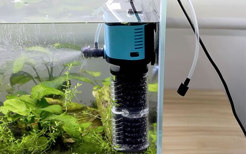 魚缸十大品牌過濾器排名（2024年魚缸過濾器十大品牌排名）