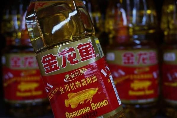金龍魚2020目標(biāo)價(jià)（金龍魚2020年目標(biāo)價(jià)的分析）