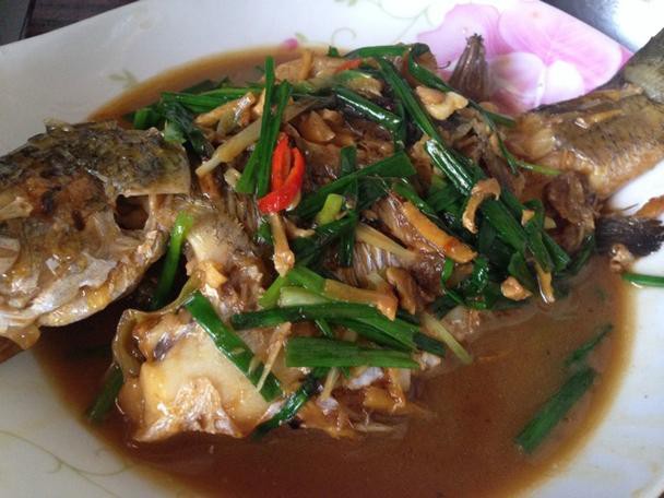 金龍魚做法圖片