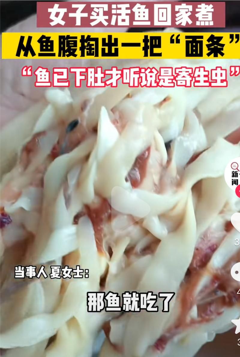 魚肚子里寄生蟲圖片