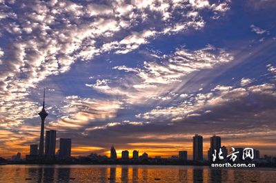 龍魚組合成一個網(wǎng)名大全霸氣（龍魚組合成的網(wǎng)名大全）