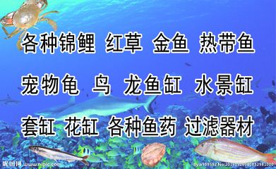 龍魚過濾器材怎么搭配使用，龍魚過濾器材搭配