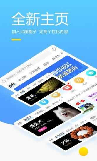 龍巔錦鯉魚論壇