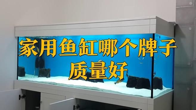 可麗愛與森森哪個好