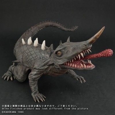 巴婁紅龍：巴婁紅龍在飼養過程中需要注意以下以下幾點