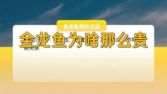金龍魚為什么貴？