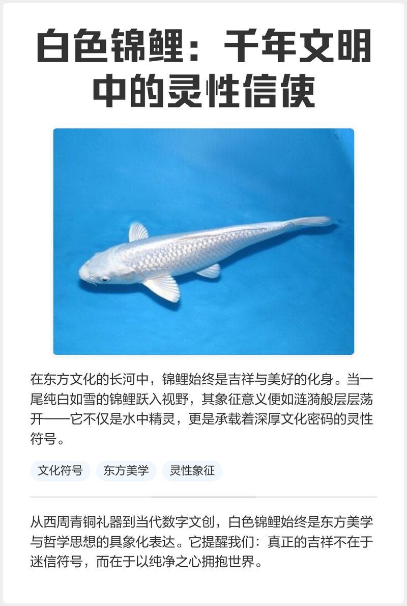 錦鯉純白的好嗎