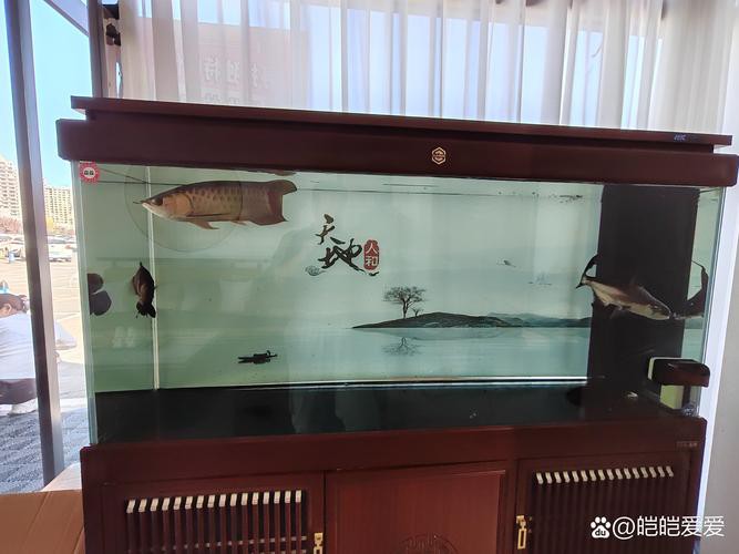 金龍魚缸造景圖片大全大圖