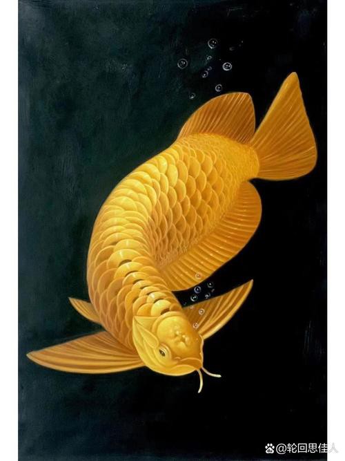 能推薦一些高清寫實風格的龍魚壁紙嗎？