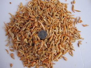 最好的龍魚飼料品牌排行榜及價格：2024年最好的龍魚飼料排名榜