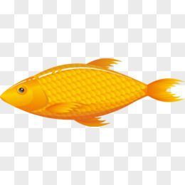 金龍魚卡通圖片