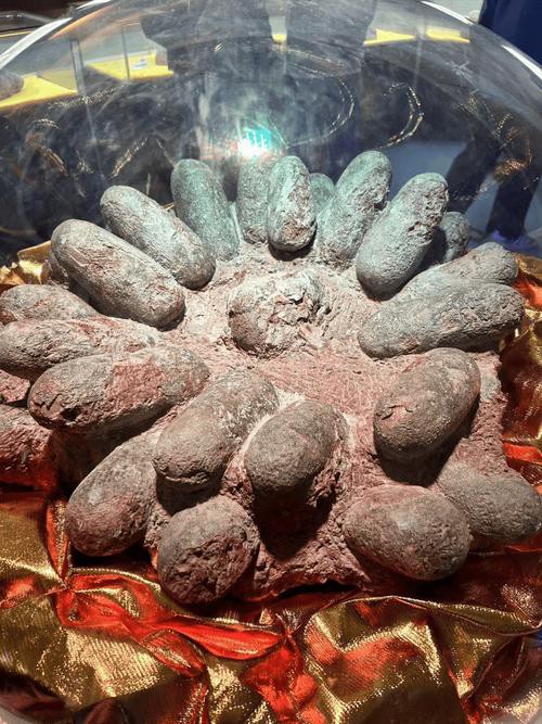 哪里可以找到高清的恐龍圖片？