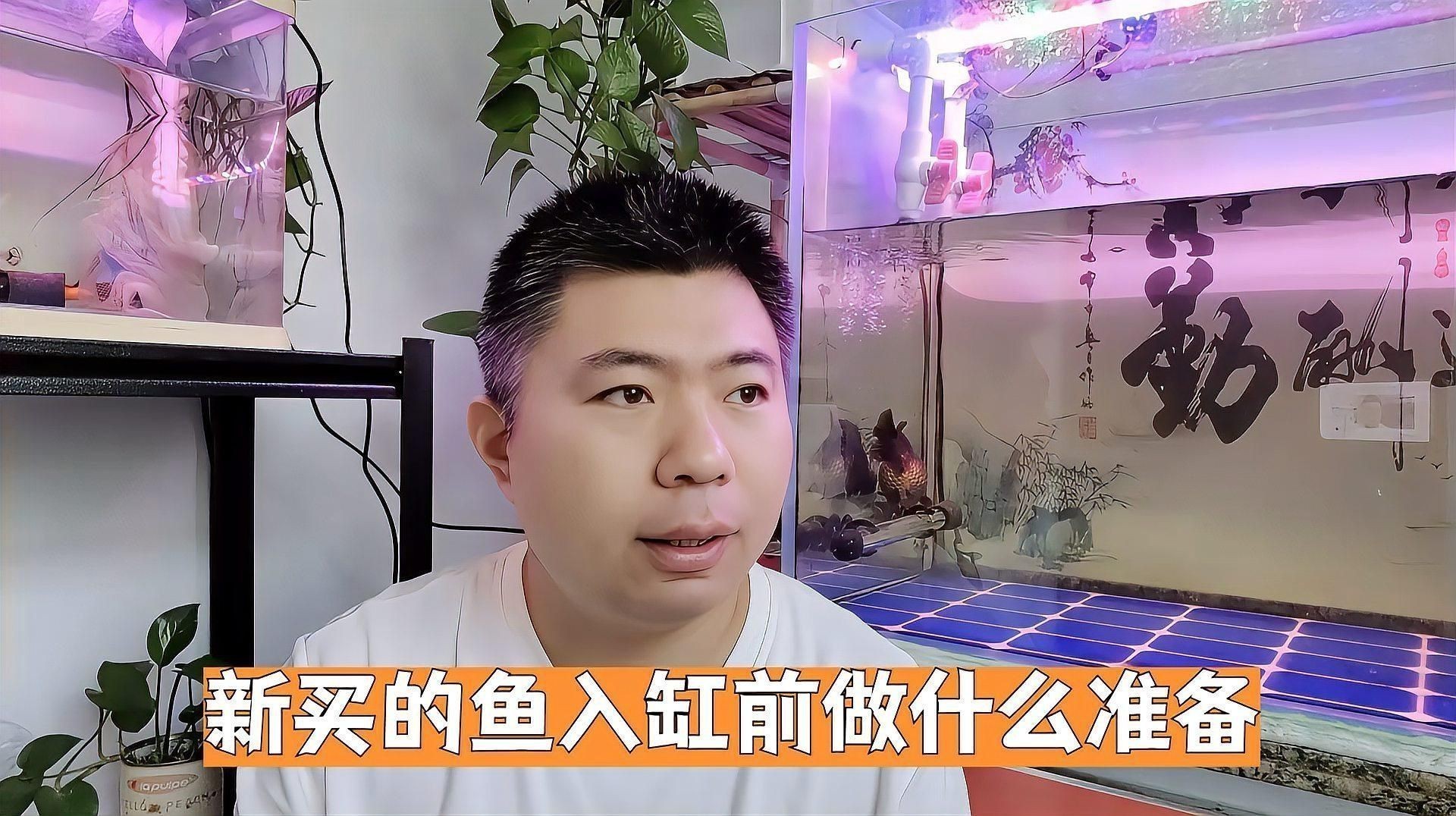 購(gòu)買(mǎi)觀賞魚(yú)注意事項(xiàng)