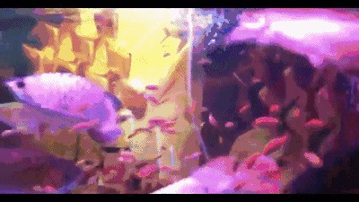 龍魚躁動不安預兆：龍魚躁動不安的預兆