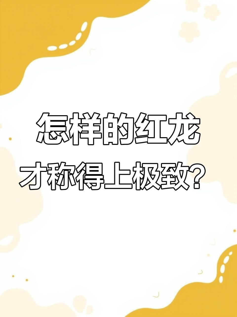 如何判斷紅龍魚品質的好壞？