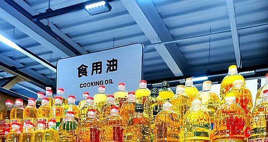 中國金龍魚廣告圖片