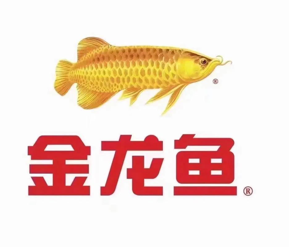 中國金龍魚廣告圖片