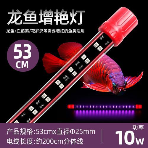 如何選擇適合紅龍的燈具