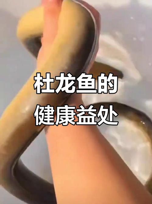 杜龍魚圖片