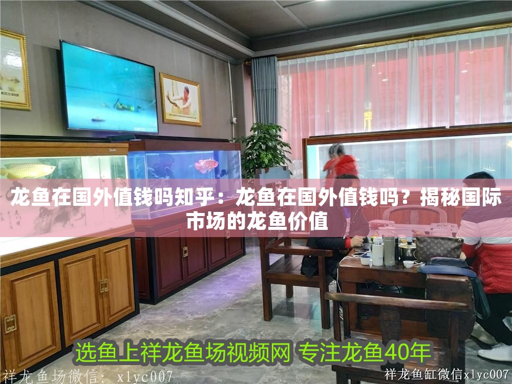龍魚在國外值錢嗎知乎：龍魚在國外值錢嗎？揭秘國際市場的龍魚價值