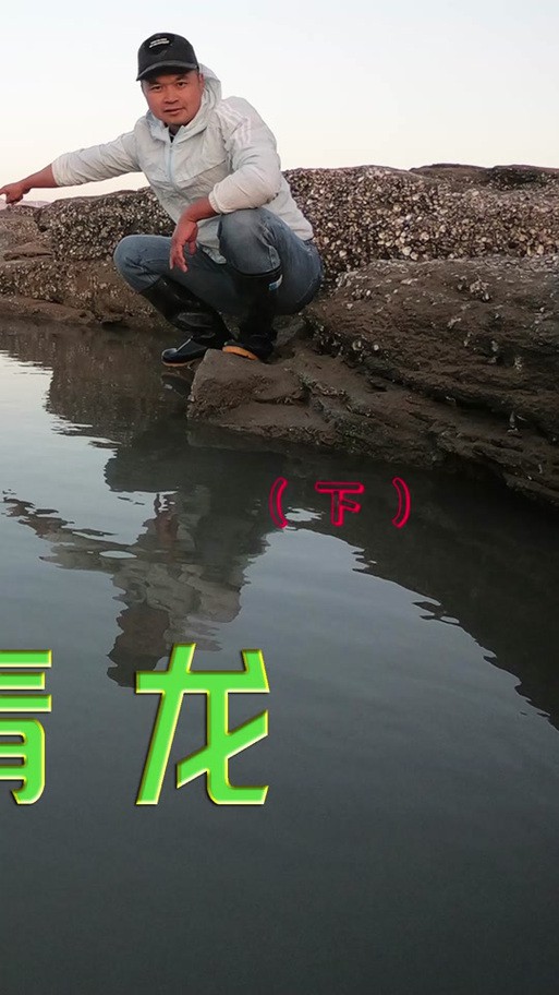 海水青龍魚圖片