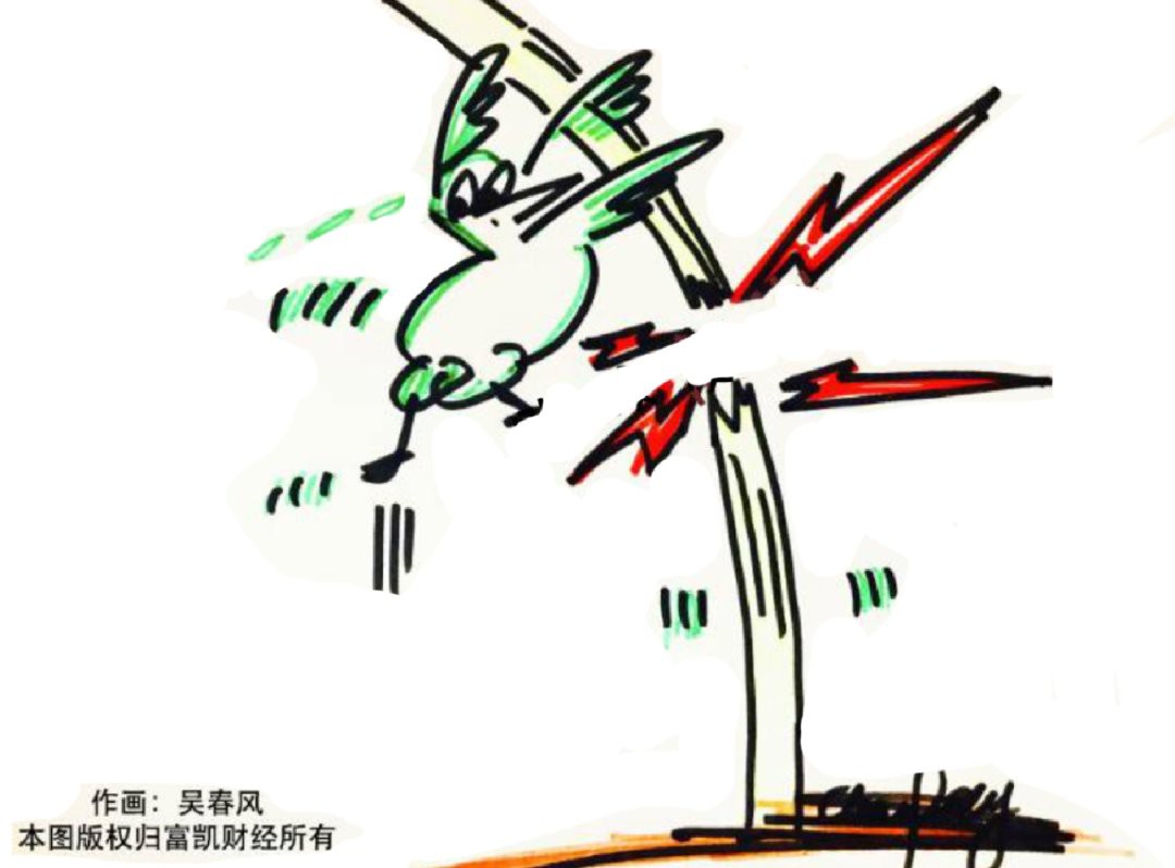 道道全和金龍魚的價格差異大嗎？