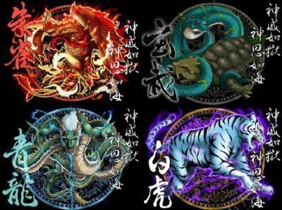 龍魚混養四大神獸好嗎（龍魚混養四大神獸有什么優點？）